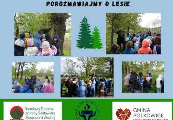 kolaż zdjęć uczniów i wychowawców w lesie na zajęciach z leśnikiem