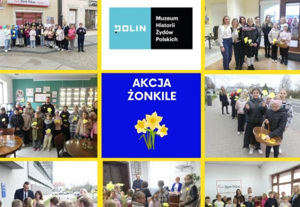 kolaż zdjęć uczniów i nauczycieli rozdających żonkile dla społeczności lokalnej 
